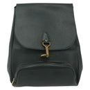 LOUIS VUITTON Taiga Cashier Backpack Epicea M30174 LV Auth bs34830-13