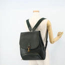 LOUIS VUITTON Taiga Cashier Rugzak Epicea M30174 LV Auth bs34830-22