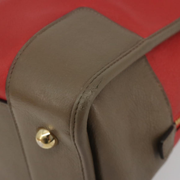 LOEWE Amazona 36 Hand Bag Leather Red Gold Auth bs35812