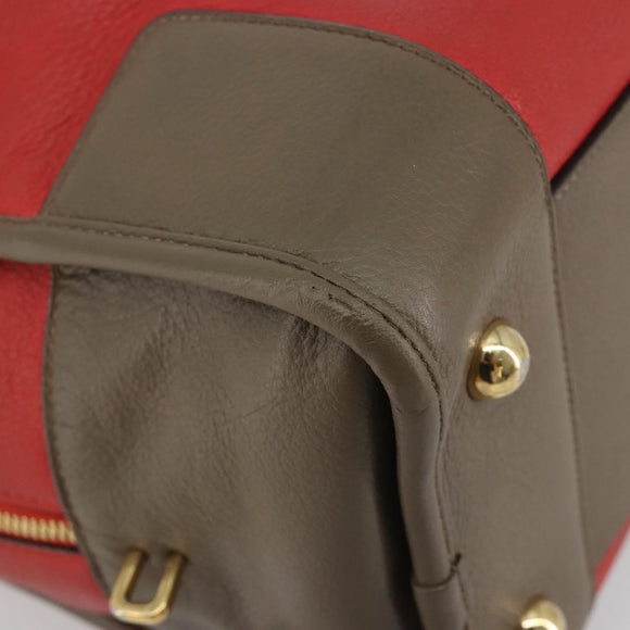 LOEWE Amazona 36 Hand Bag Leather Red Gold Auth bs35812