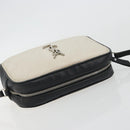 SAINT LAURENT Shoulder Bag Canvas Beige Silver 520534 Auth bs35824A-6