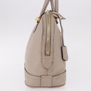 LOUIS VUITTON Parnasea Alma PM Hand Bag Leather Galet M48892 LV Auth bs36103-6
