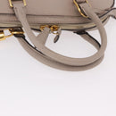 LOUIS VUITTON Parnasea Alma PM Hand Bag Leather Galet M48892 LV Auth bs36103-9