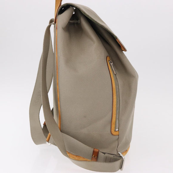 LOUIS VUITTON Damier Geant Pionie Backpack Canvas Tail M93055 LV Auth bs36162