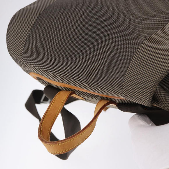 LOUIS VUITTON Damier Geant Pionie Backpack Canvas Tail M93055 LV Auth bs36554