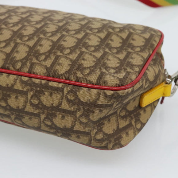 Christian Dior Trotter Canvas Rasta Color Bag PVC Brown Silver Auth bs36632