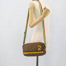 Christian Dior Trotter Canvas Rasta Color Bag PVC Brown Silver Auth bs36632-23