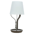 HERMES Anlumiere Arne lamp Glass Clear Auth bs36697SM-1