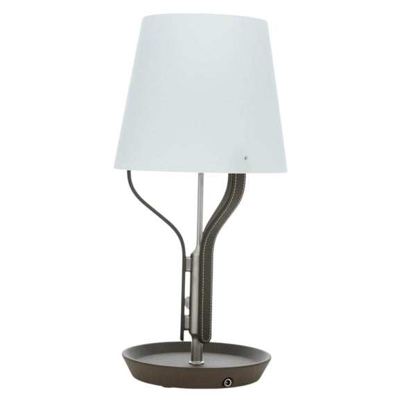 HERMES Anlumiere Arne lamp Glass Clear Auth bs36697SM