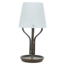 HERMES Anlumiere Arne lamp Glass Clear Auth bs36697SM-2