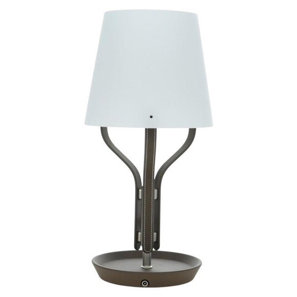 HERMES Anlumiere Arne lamp Glass Clear Auth bs36697SM