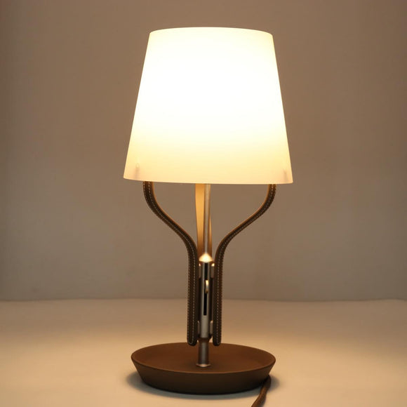 HERMES Anlumiere Arne lamp Glass Clear Auth bs36697SM