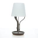 HERMES Anlumiere Arne lamp Glass Clear Auth bs36697SM-5
