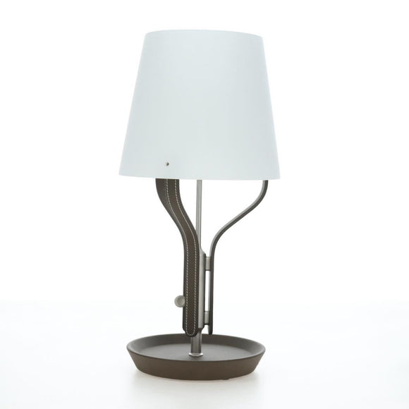 HERMES Anlumiere Arne lamp Glass Clear Auth bs36697SM