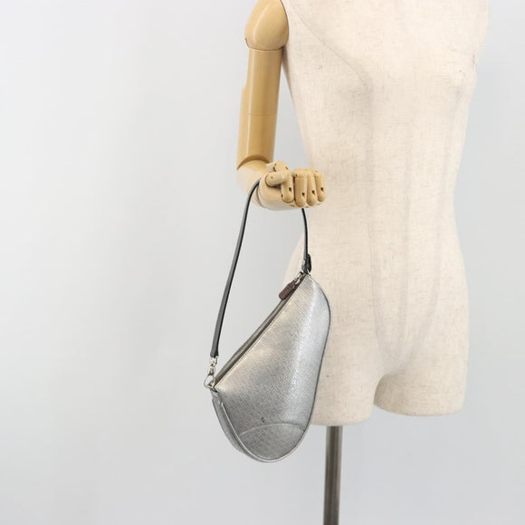 Christian Dior Trotter Canvas Saddle Accessory Pouch Leather Silver Auth bs36786