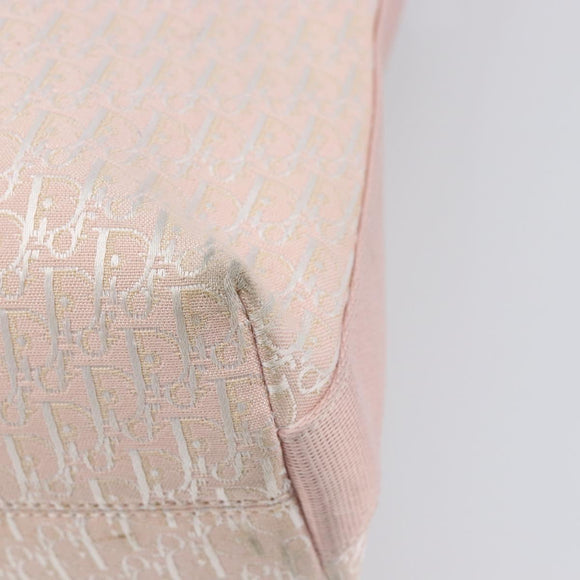 Christian Dior Trotter Canvas Shoulder Bag Pink Silver Auth bs36839