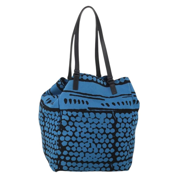 BOTTEGA VENETA Hand Bag Canvas 2way Blue Auth bs36936
