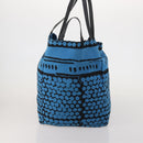 BOTTEGA VENETA Hand Bag Canvas 2way Blue Auth bs36936-3
