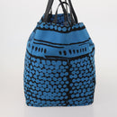 BOTTEGA VENETA Hand Bag Canvas 2way Blue Auth bs36936-4