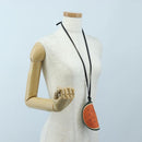 LOEWE Coin Purse Raffia Paula's Visa Collection Orange Auth bs36956M-21