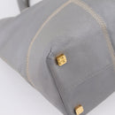 LOEWE Anagram Amazona Justa Hand Bag Leather Gold Silver Auth bs37721-13