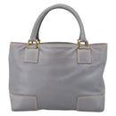 LOEWE Anagram Amazona Justa Hand Bag Leather Gold Silver Auth bs37721-3
