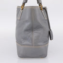 LOEWE Anagram Amazona Justa Hand Bag Leather Gold Silver Auth bs37721-4