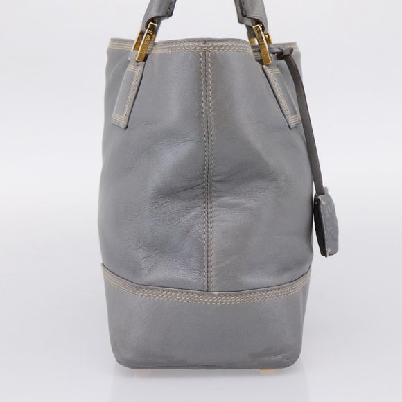 LOEWE Anagram Amazona Justa Hand Bag Leather Gold Silver Auth bs37721