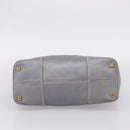 LOEWE Anagram Amazona Justa Hand Bag Leather Gold Silver Auth bs37721-9