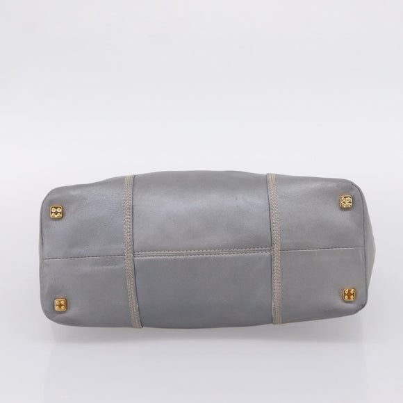 LOEWE Anagram Amazona Justa Hand Bag Leather Gold Silver Auth bs37721