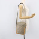LOUIS VUITTON Damier Geant Sitadan Shoulder Bag Beige M93041 LV Auth bs37801-26