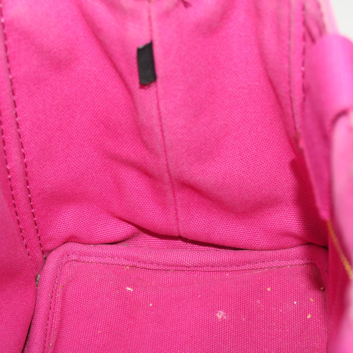 PRADA Kanapa PM Hand Bag Canvas Pink Auth bs5643