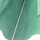 LOUIS VUITTON Taiga Serviette Moskova Businesstasche Epicea M30034 LV Auth BSZ191-10