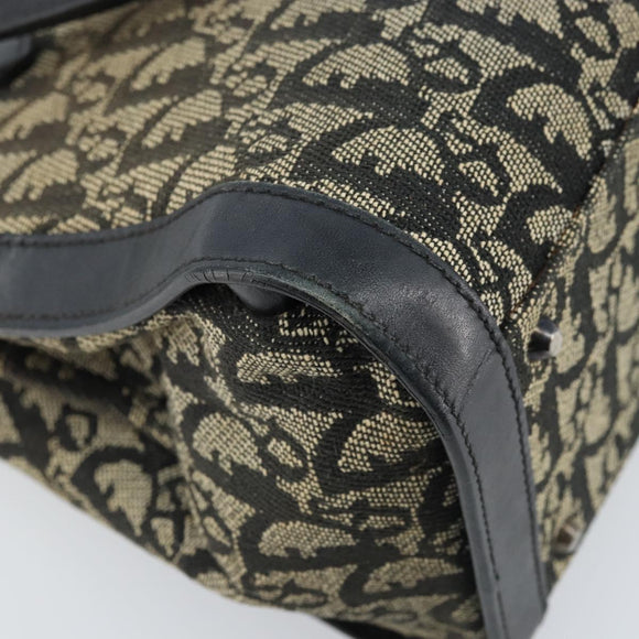 Christian Dior Trotter Canvas Hand Bag Black Silver Auth BSZ335