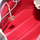 CELINE Shoulder Bag Leather Brown Gold Auth EC529-11