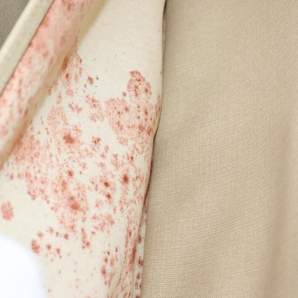 LOUIS VUITTON Monogram Sac 54H Earl Boston Bag M41383 LV Auth EC621