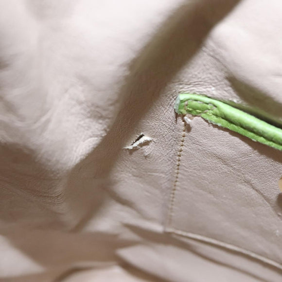 CELINE Shoulder Bag Leather Green Red yellow Auth EC743