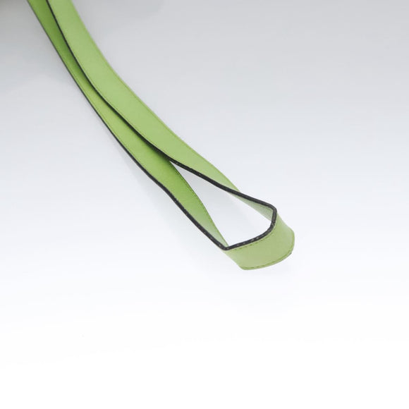 CELINE Shoulder Bag Leather Green Red yellow Auth EC743