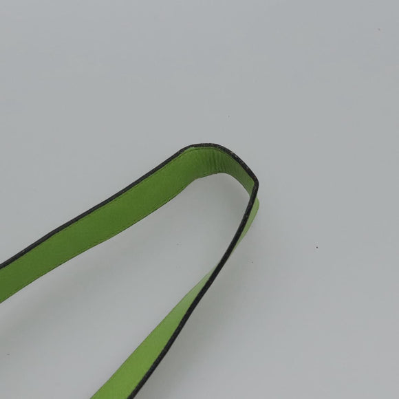 CELINE Shoulder Bag Leather Green Red yellow Auth EC743