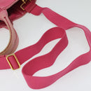 PRADA Canapa PM Hand Bag Canvas 2way Pink Gold Auth ep10705-9