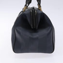 FENDI Pecan Canvas Hand Bag Navy Gold Auth ep10858-4