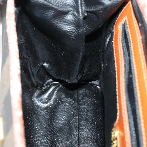 FENDI Pecan Canvas Hand Bag PVC 2way Black Brown Auth ep12011