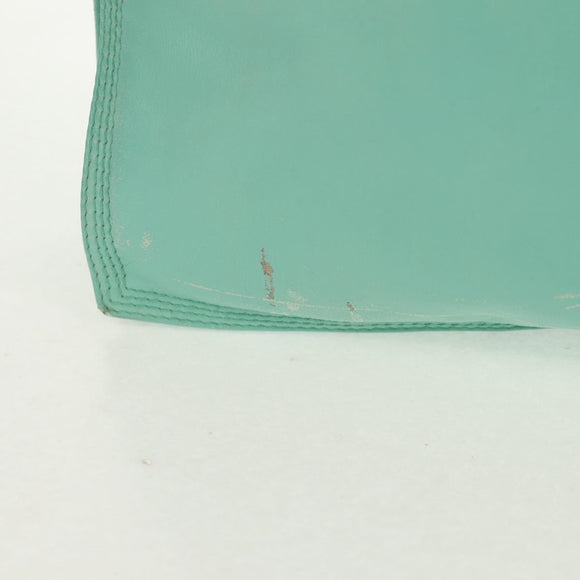 LOEWE Anagram Shoulder Bag Leather Peppermint Auth ep12375