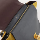 CELINE Trapeze Handtasche Wildleder 2-Wege Grau Gold Auth ep13043-10