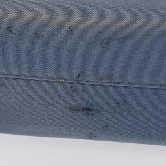 LOEWE Tote Bag Canvas Light Blue Silver Auth ep13411