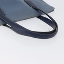 LOEWE Tote Bag Canvas Light Blue Silver Auth ep13411-8