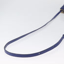 CELINE Trio Shoulder Bag Leather Blue Gold Auth ep13474-7