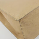 LOEWE Hand Bag Leather Ivory Silver Auth ep14525-14