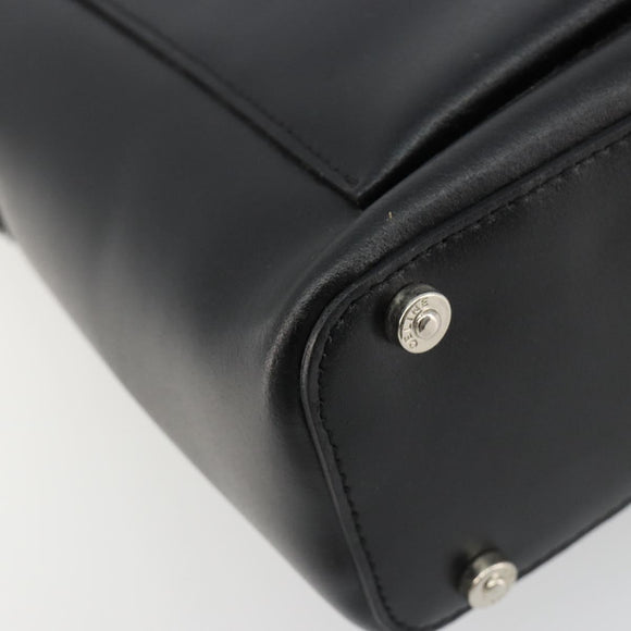 CELINE Schoudertas Leer Zwart Zilver Auth ep15031