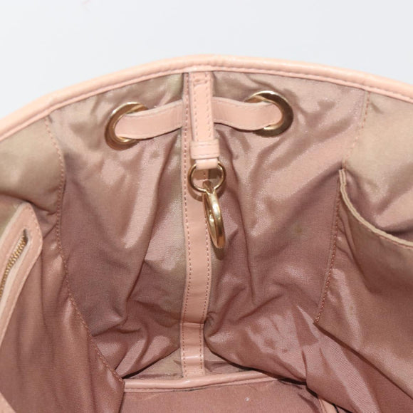 Christian Dior Lady Dior Canage Hand Bag Coated Canvas Pink Gold Auth ep15039